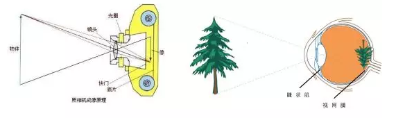 预防近视和高度近视,要从这些小事做起1.png 预防近视和高度近视,要从这些小事做起1.png